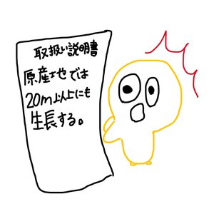 違うんです！枯らしたわけじゃないんです！！ - 画像3