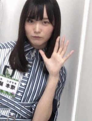 それでも私は猫が好き - 画像4