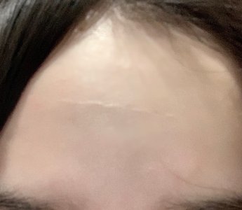 それでも私は猫が好き - 画像5