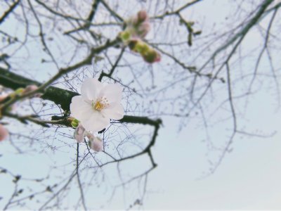 10月のサムネイル