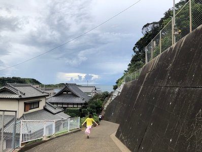 凰梨。 - 画像5