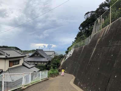 凰梨。 - 画像6