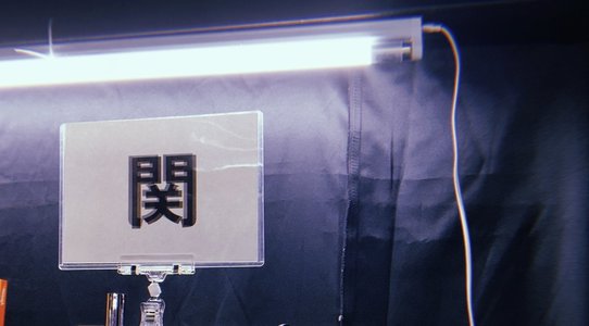 🌳。 - 画像2