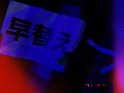 🌳 - 画像2