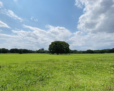ありがとうのサムネイル