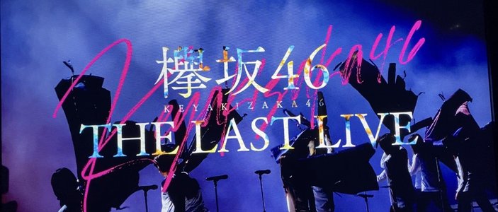 欅坂４６のサムネイル