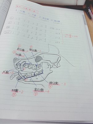 朝勉。。のサムネイル