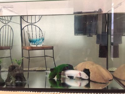 シナモンロール、99 - 画像3