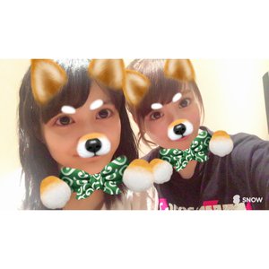 ＼︎︎柴犬❤︎︎240／ - 画像1