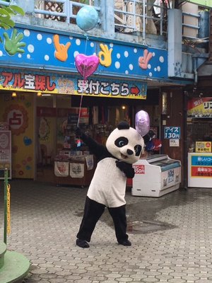 パンダ。 - 画像1