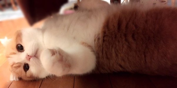 夏休み✧_\(_°∀°_)/_✧ - 画像3