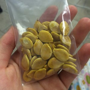 しっとり3色の豆パンのサムネイル
