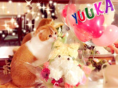 名古屋個別握手会\♥︎/ - 画像4