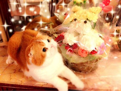 名古屋個別握手会\♥︎/ - 画像5
