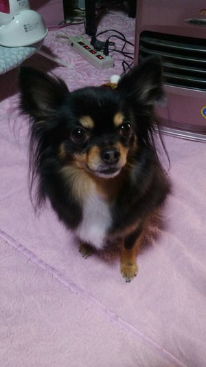 ハートのサムネイル