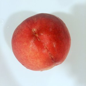 カステラサンドのサムネイル