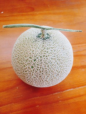夏なのにコンビニおでんが売っていて感激～205～ - 画像2