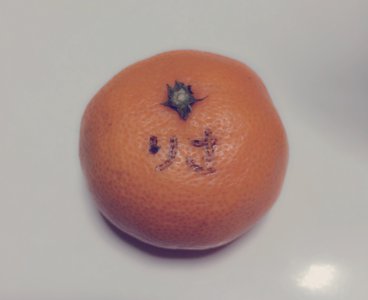 ふゆ - 画像1