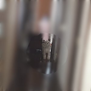 オムライスは明日。 - 画像2