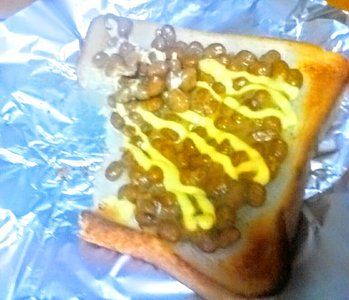 natto∠(　˙-˙ )/のサムネイル