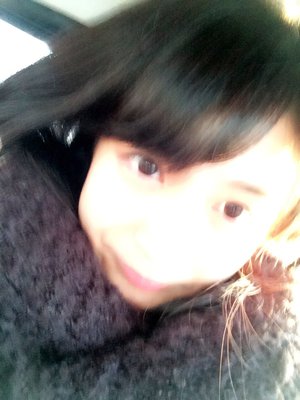 ミニラムシュトーレン - 画像2