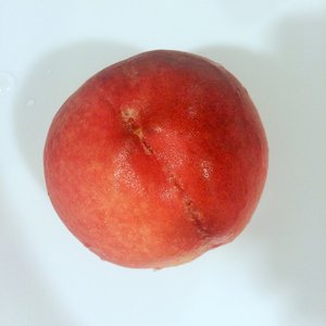スズラン - 画像2