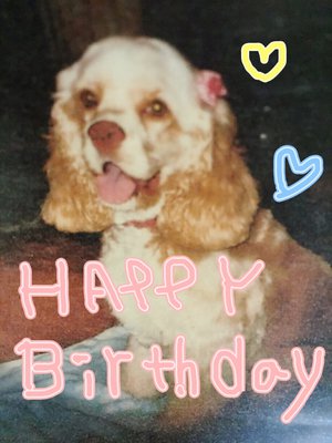 Re: マロン誕生日♡のサムネイル