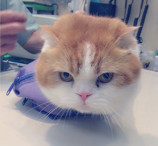 トムのおでかけ( ¯•ω•¯ ) - 画像4