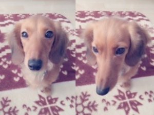 ｡.୨୧０００１８♡りな୨୧.｡ - 画像2