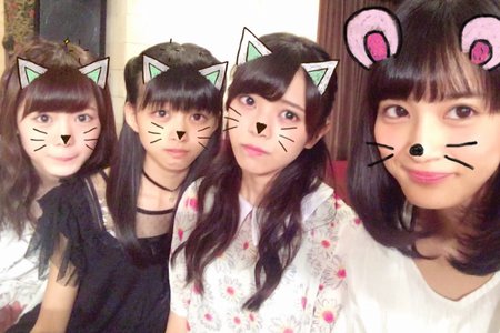 キキョウのサムネイル