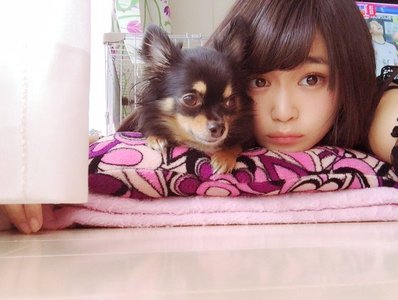 虹花からメールです\ ♪♪ /ぽかぽか陽気のサムネイル