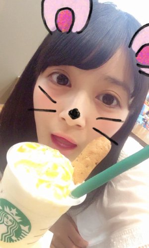 オオイヌノフグリ - 画像3