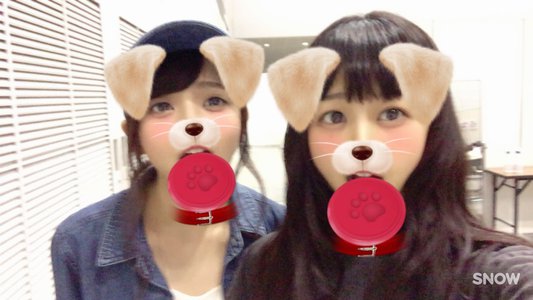 高校生クイズ見てます( ๑´ ࿀`๑)のサムネイル