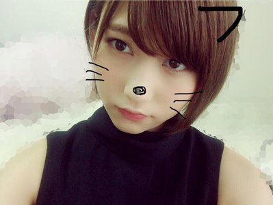 猫。のサムネイル