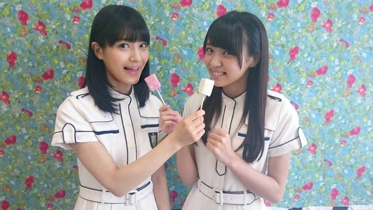 ノースポールのサムネイル