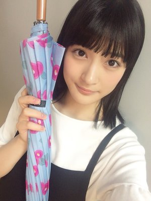 ガーベラのサムネイル