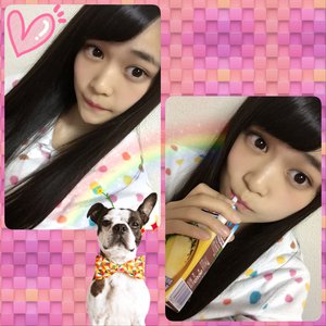 こんばんわんU•ω•Uのサムネイル