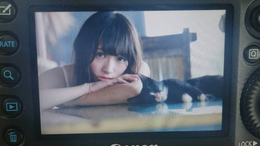 ハッスルプレス - 画像4