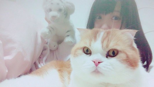もうすぐHALLOWEEN♪ - 画像2