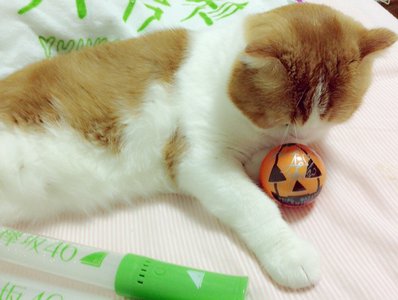 サインボール♡のサムネイル