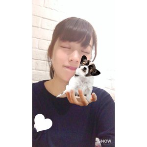 :-)338 - 画像1