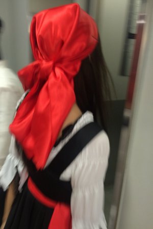 コキアのサムネイル