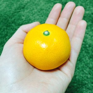 ドキドキのサムネイル