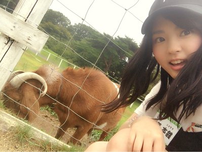 11月のサムネイル