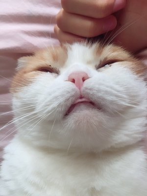 嬉しい！！！ - 画像2