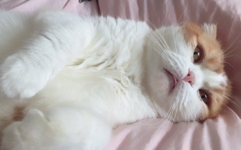 嬉しい！！！ - 画像3