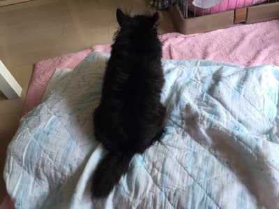 虹花からメールです\ ♪♪ /18かぁ… - 画像4