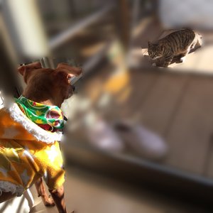 素敵な写真。のサムネイル