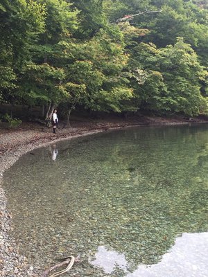 自然癒されるね……のサムネイル