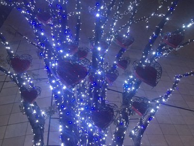キラキラの二人旅♪ - 画像5